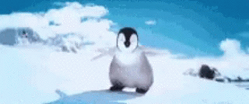 Penguin Dancing GIF - Penguin Dancing Tapping Feet GIFs