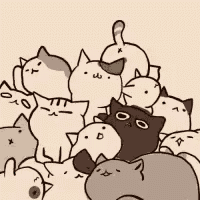 a bunch of cats are sitting on top of each other on a table .