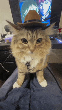 a cat wearing a cowboy hat is sitting on a person 's lap