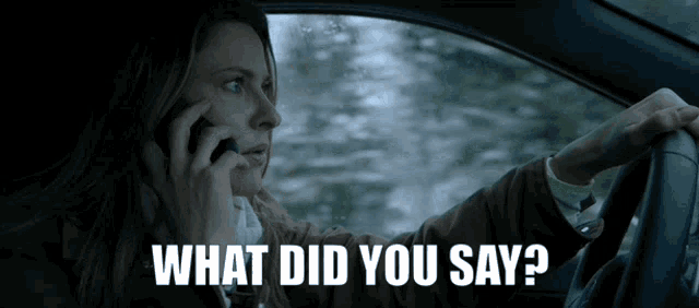 a woman in a car talking on a cell phone with the words what did you say