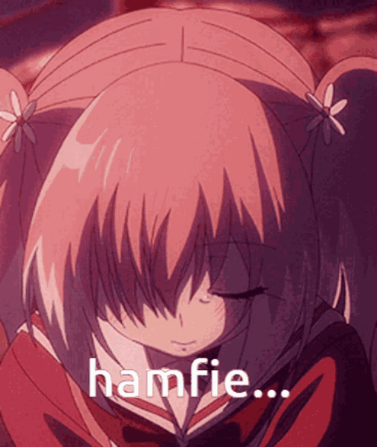 a pink anime girl with pigtails and the word hamfie on the bottom