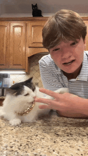 a young man is petting a cat while a black cat sits on the cabinets