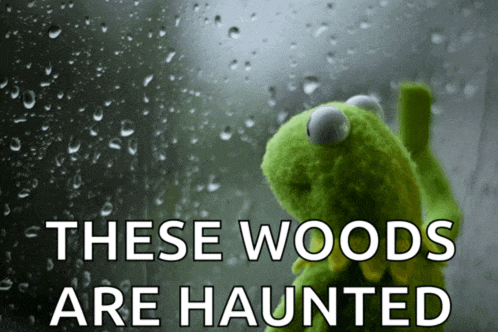 a kermit the frog looking out a window with the words these woods are haunted