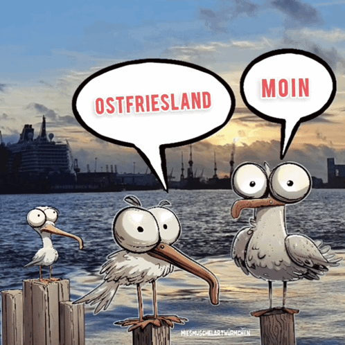 Möwie Moin Moin GIF