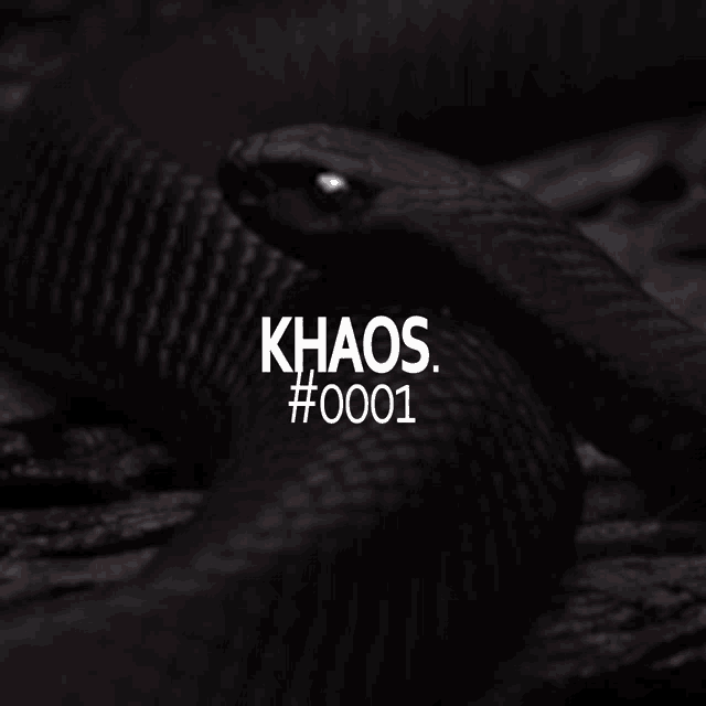 Khaos Vensec GIF - Khaos Vensec GIFs