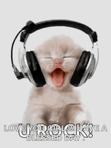a kitten wearing headphones with its mouth open and yawning .