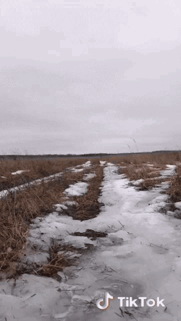 a screenshot of a snowy field with the hashtag tiktok