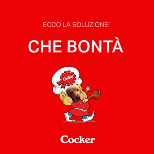 Cocker Spaniel Bontà GIF - Cocker Spaniel Bontà Loacker GIFs