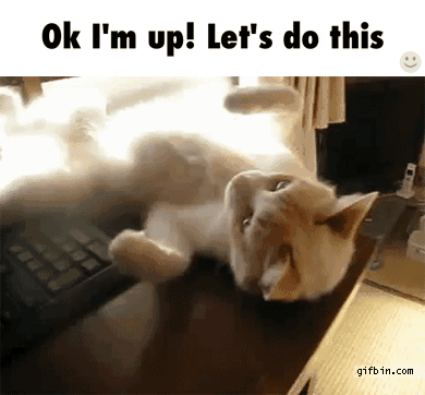 Let'S Go GIF - Let GIFs