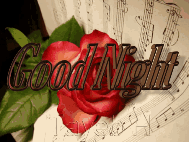 a picture of a red rose with the words good night