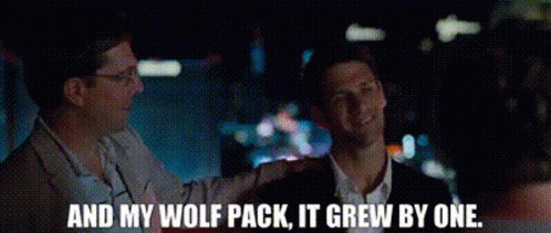 Wolf Pack GIF - Wolf Pack Hangover GIFs