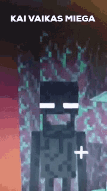 a picture of a minecraft character with the words kai vilkas miega above it