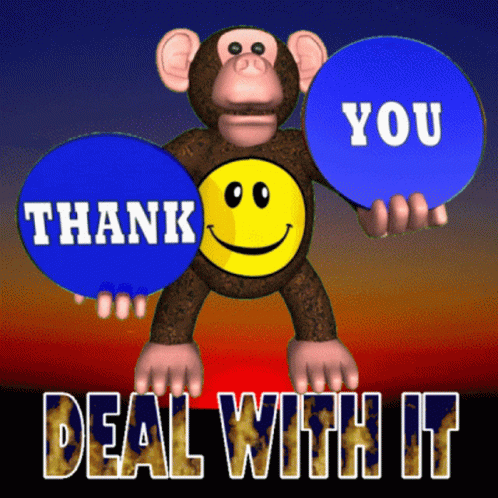 Deal With It Thank You GIF - Deal With It Thank You Deal With This GIFs