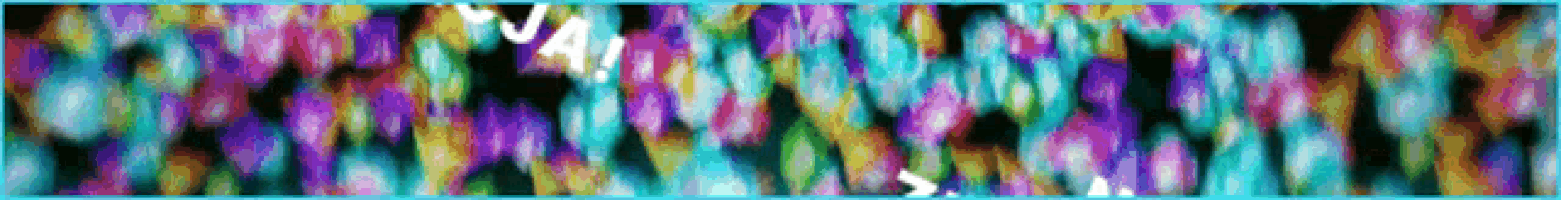 Discord Ad GIF