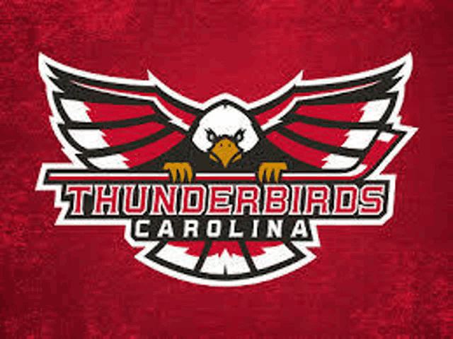 the logo for the thunderbirds carolina is a bald eagle with its wings outstretched .