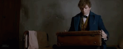 Fantastic Beasts Fantastic Beasts And Where To Find Them GIF - Fantastic Beasts Fantastic Beasts And Where To Find Them Suitcase GIFs