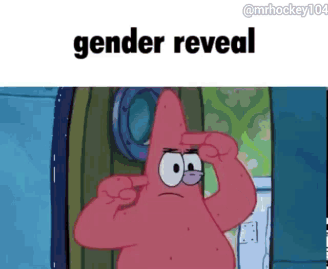 patrick star from spongebob squarepants is pointing at his head with the words gender reveal above him