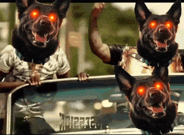 a group of dogs with red eyes are sitting in a car with the word spice on the side