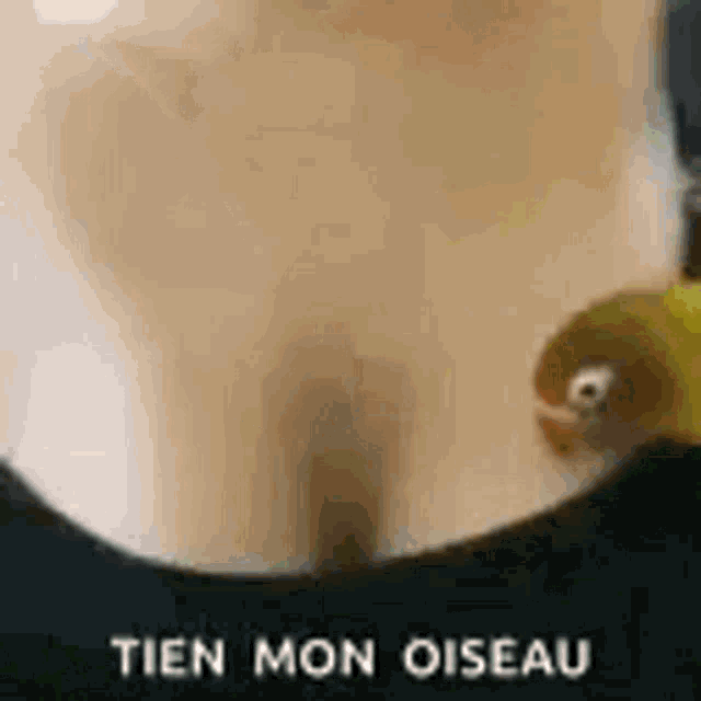 a close up of a person 's chest with a bird on it and the words `` tien mon oiseau '' .