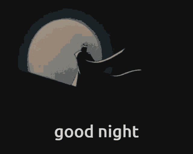 a bat is flying in front of a full moon and the words good night are below it