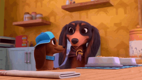 two dachshunds are standing next to each other on a kitchen counter