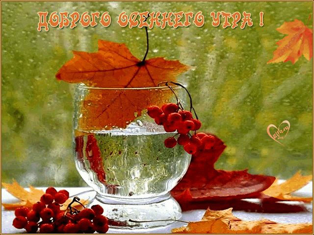 a glass of water with a maple leaf and berries on it