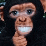 a chimpanzee is smiling and giving a thumbs up sign .