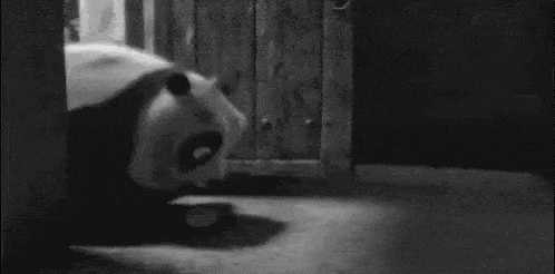 a panda bear is standing on its hind legs in a black and white photo .