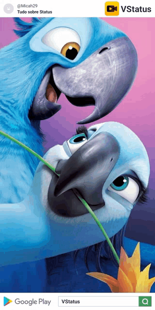 an advertisement for google play with a picture of two parrots