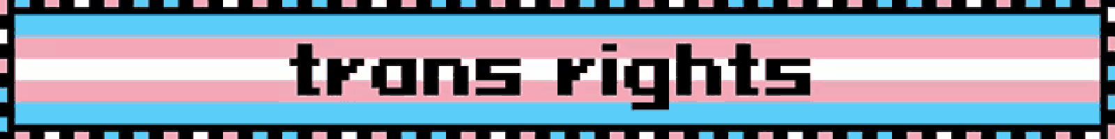 a banner with a transgender flag and the words trans rights