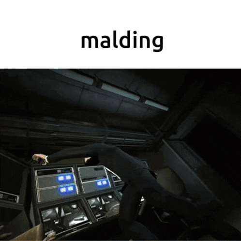 a screenshot of a video game with the word malding on the bottom