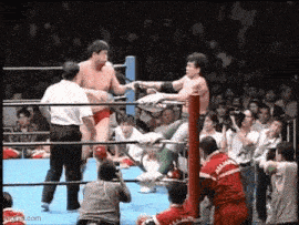 a group of men are fighting in a wrestling ring with a crowd watching .