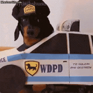 Dog Police GIF - Dog Police Dogchase GIFs