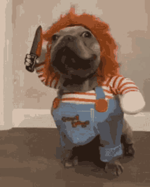 Chucky Puppy GIF - Chucky Puppy Funny Costume GIFs