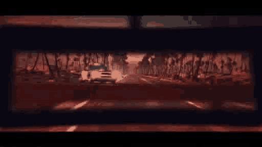 a car is driving down a road with trees on the side of the road .
