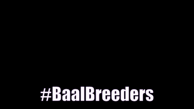 a video game character is holding a sword and the words baalbreeders are written on the screen .