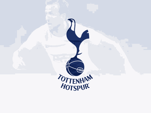 Tottenham GIF - Tottenham GIFs