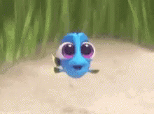 Finding Dory Fish GIF - Finding Dory Fish Baby GIFs