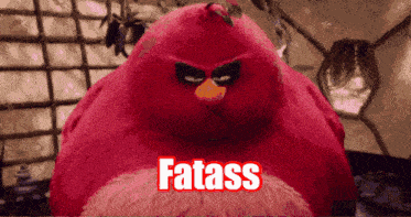 Fatass Angrybirds GIF - Fatass Angrybirds Fatassangibirds GIFs
