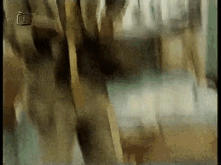 a blurry picture of trees with the number 1 on the bottom right