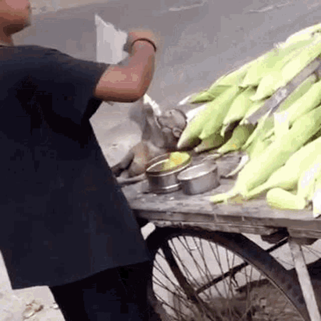 a man is standing next to a cart of corn on the cob .