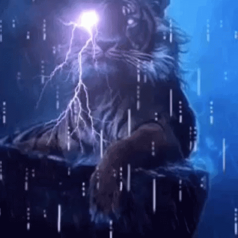 Tiger Rain GIF - Tiger Rain Lightning GIFs