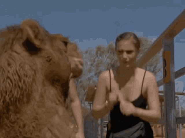 a woman in a black tank top is being attacked by a lion