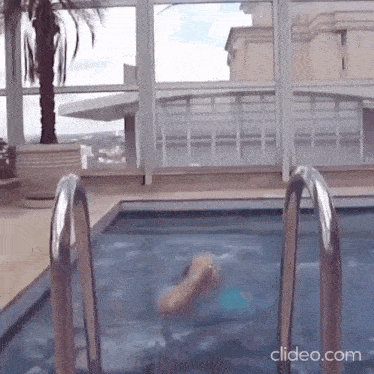 a woman is swimming in a swimming pool with a palm tree in the background .