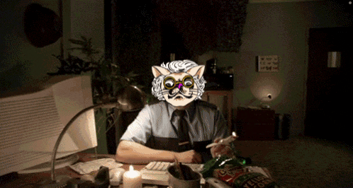 a man in a cat mask sits at a desk