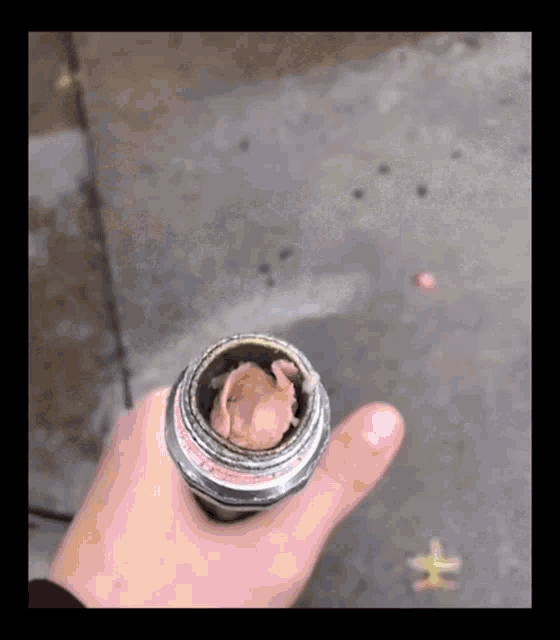 Hose Water GIF