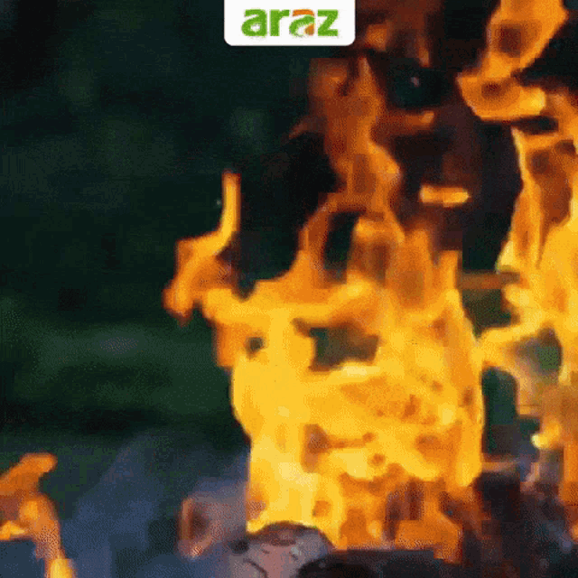 Araz Arazbaba GIF - Araz Arazbaba Novruz GIFs
