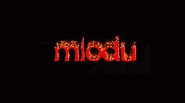 the word blood is surrounded by flames in red