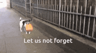 a dog carrying a bag on the sidewalk with the words let us not forget below it
