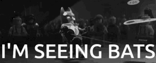 a black and white image with the words i 'm seeing bats in white letters